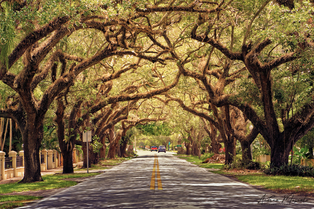Historic Mediterranean Revival architecture in Coral Gables