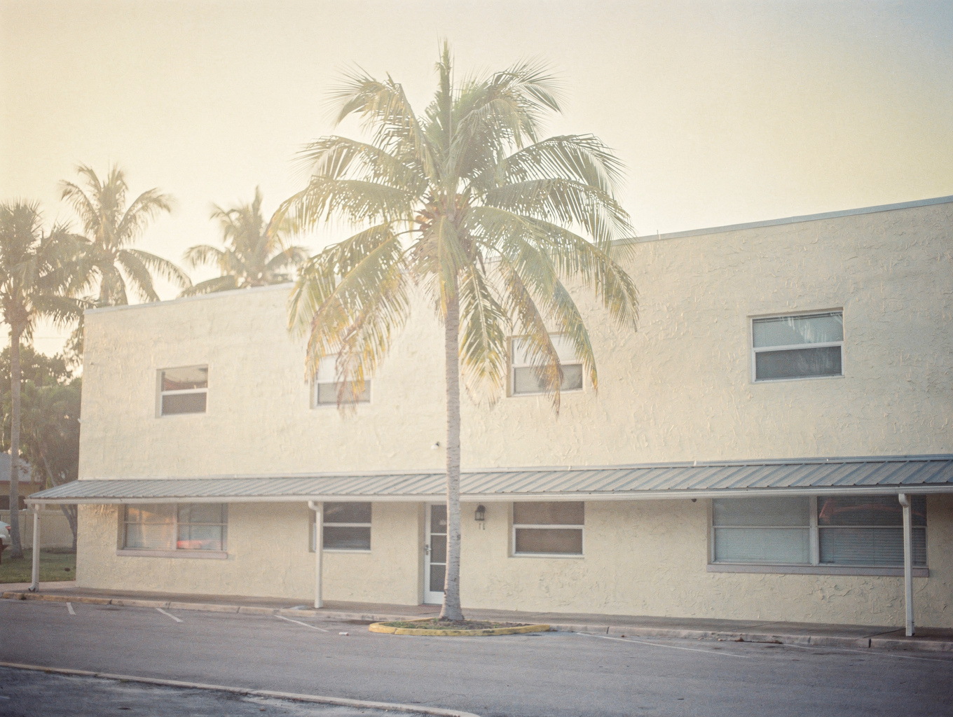 Documentary architectural photograph of Coconut Grove residential estate and canopy