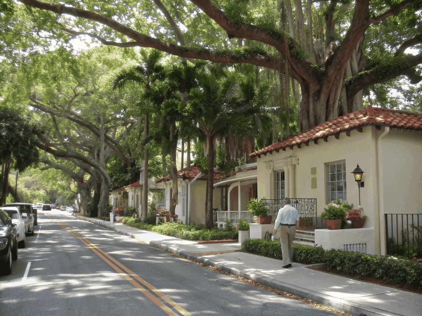 Quiet palm-shaded residential street in Coconut Grove Miami