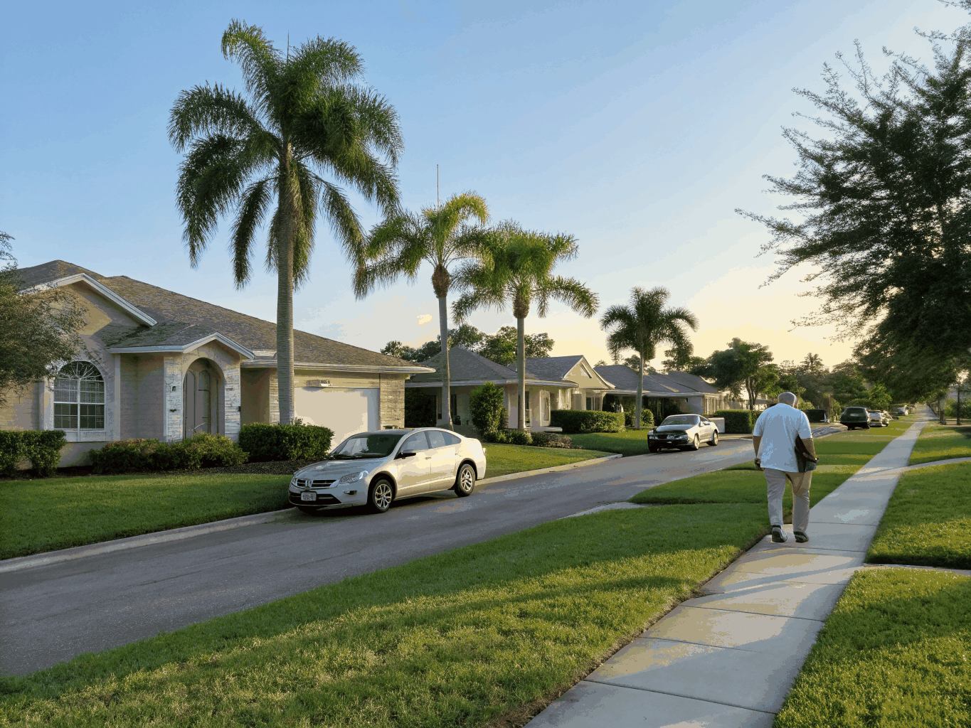 Documentary architectural photograph of High Pines tree-lined residential street with mature landscaping