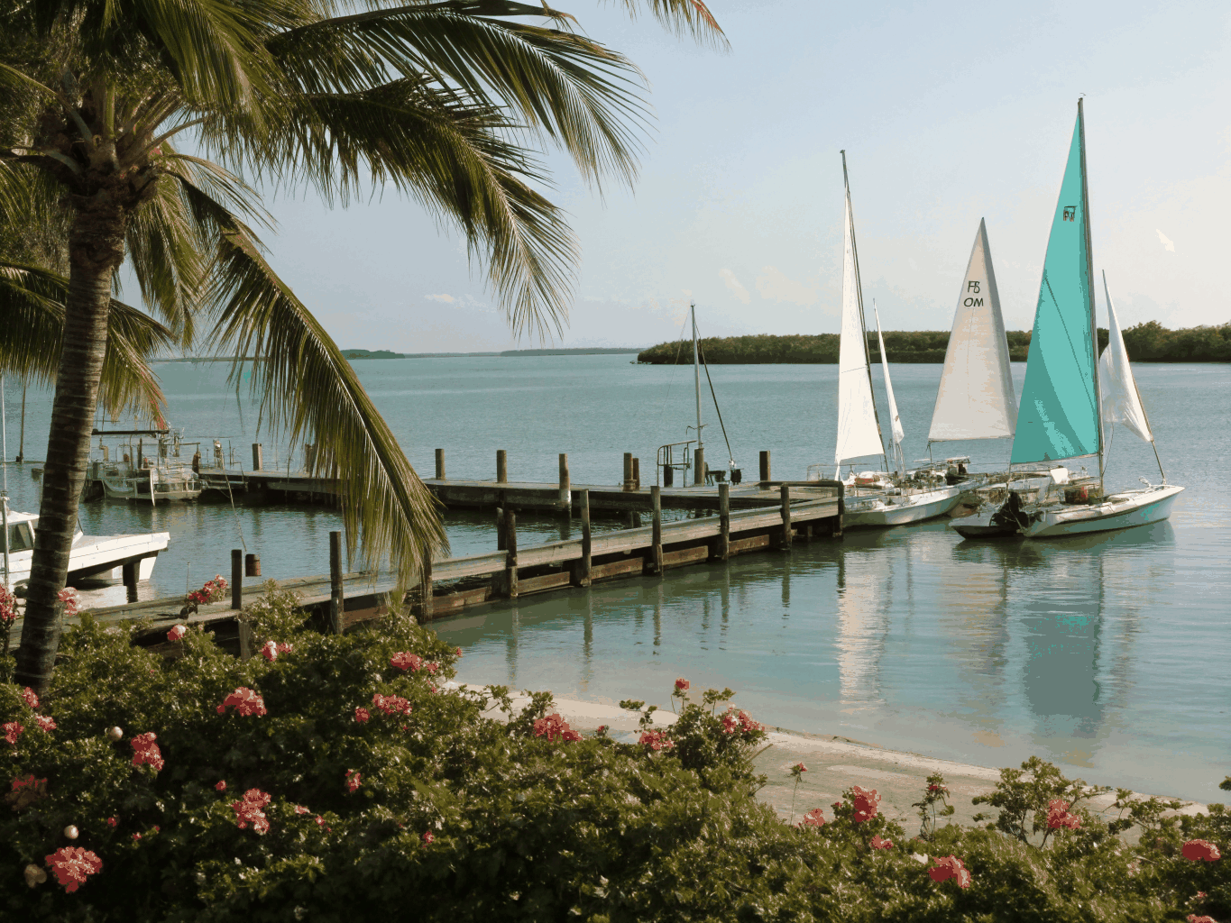 Tranquil Key Biscayne village marina with docked boats surrounded by coastal palms and calm waters