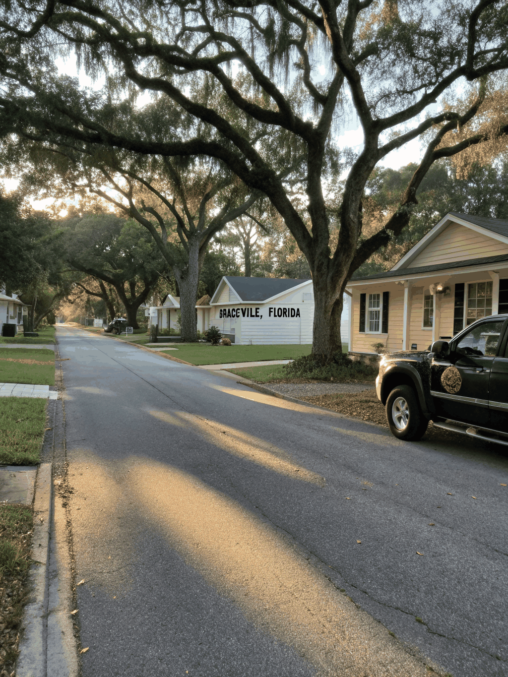 Tree-lined residential streets and spacious village homes in Pinecrest